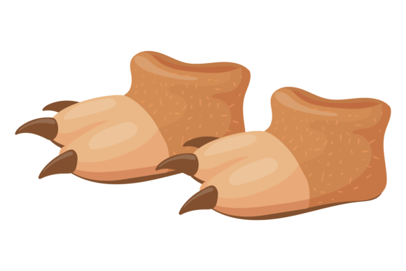 Bear Foot Slippers. Funny Home Soft Shoe Graphics and Illustrations